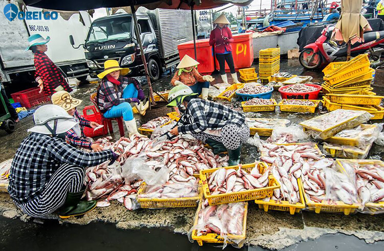 du lịch chợ Lagi Bình Thuận