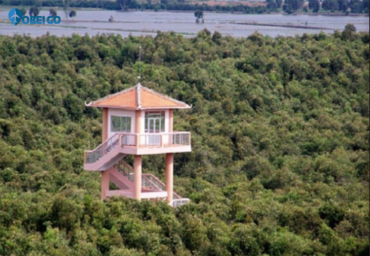 tháp canh du lịch rừng tràm Tân Lập Long An
