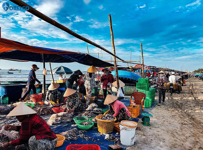 Tham quan du lịch chợ hải sản Hải Tiến Thanh Hóa