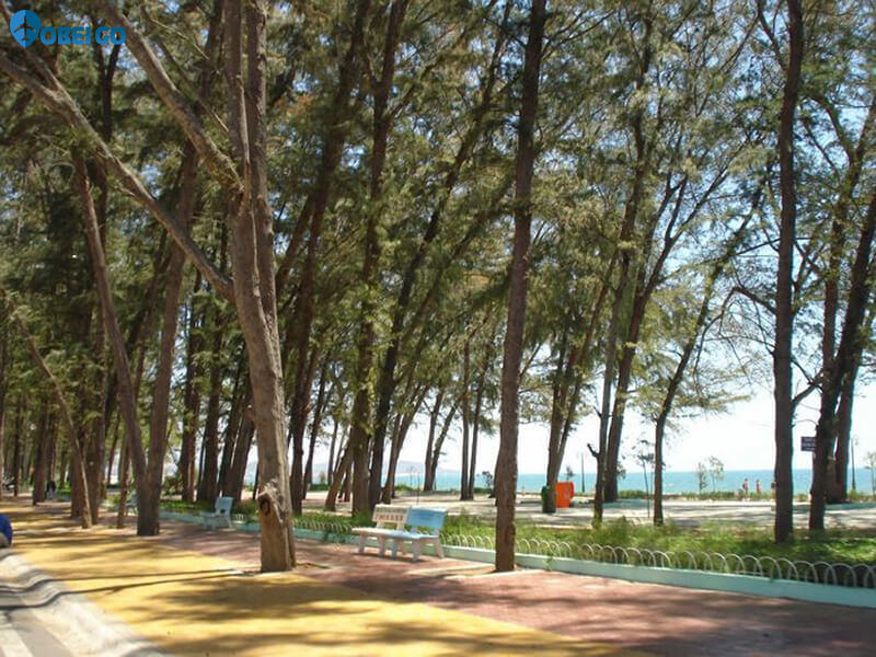 công viên Đồi Dương du lịch Coco Beach Bình Thuận