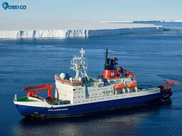 Những nhà khoa học tìm thấy sinh vật biển Nam Cực bị mắc kẹt dưới lớp băng hơn nữa thế kỷ