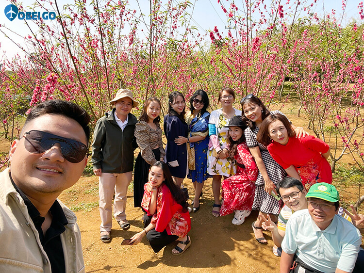du lịch vườn hoa anh đào Vĩnh Sơn Vĩnh Thạnh Bình Định