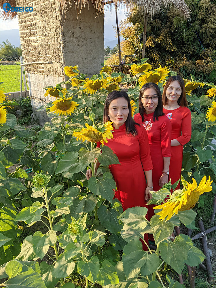 du lịch vườn hoa cối xoay gió Khánh Hòa