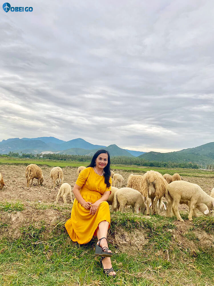 chụp ảnh cùng đàn cừu Suối Tiên Cam Ranh Khánh Hòa